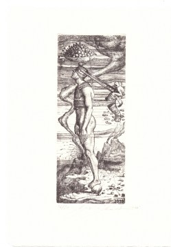 Il raccoglitore di stelle cadenti di Agostino Arrivabene
